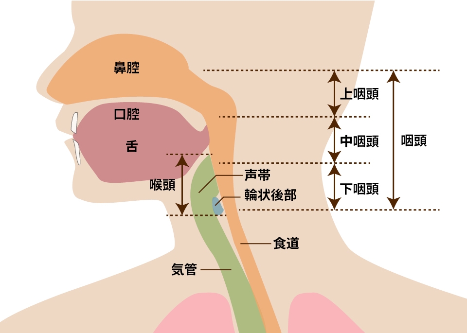 口蓋帆咽頭機能不全の症状