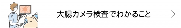 大腸カメラ検査でわかること